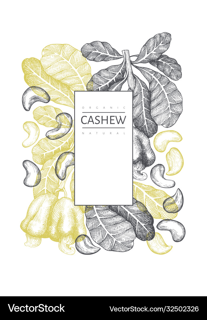 Hand gezeichnete Skizze Cashew Design Template bio Hand gezeichnete Skizze Cashew Design Template bio vektorbild