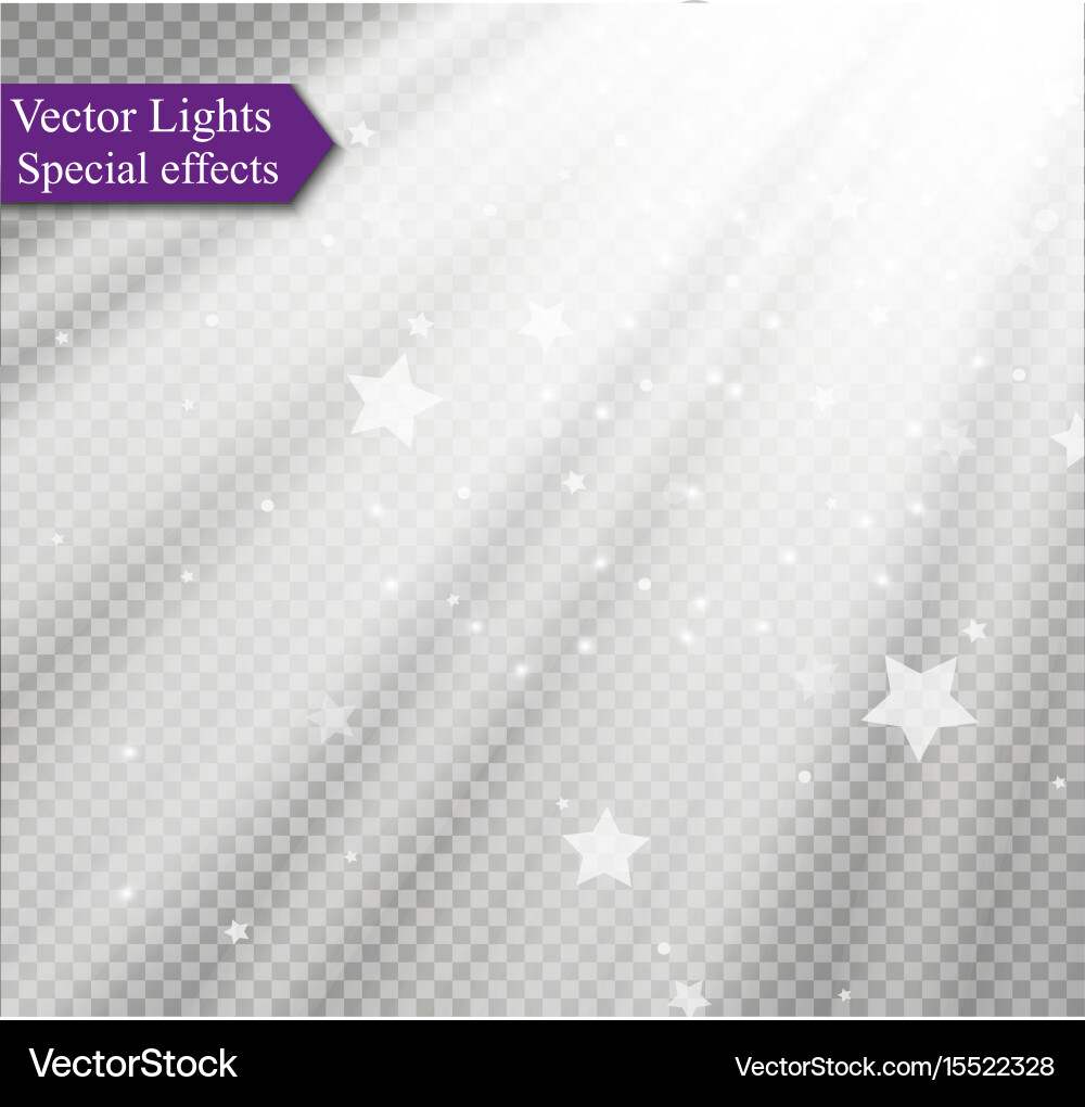 Light flare special effect with rays of Vector Image