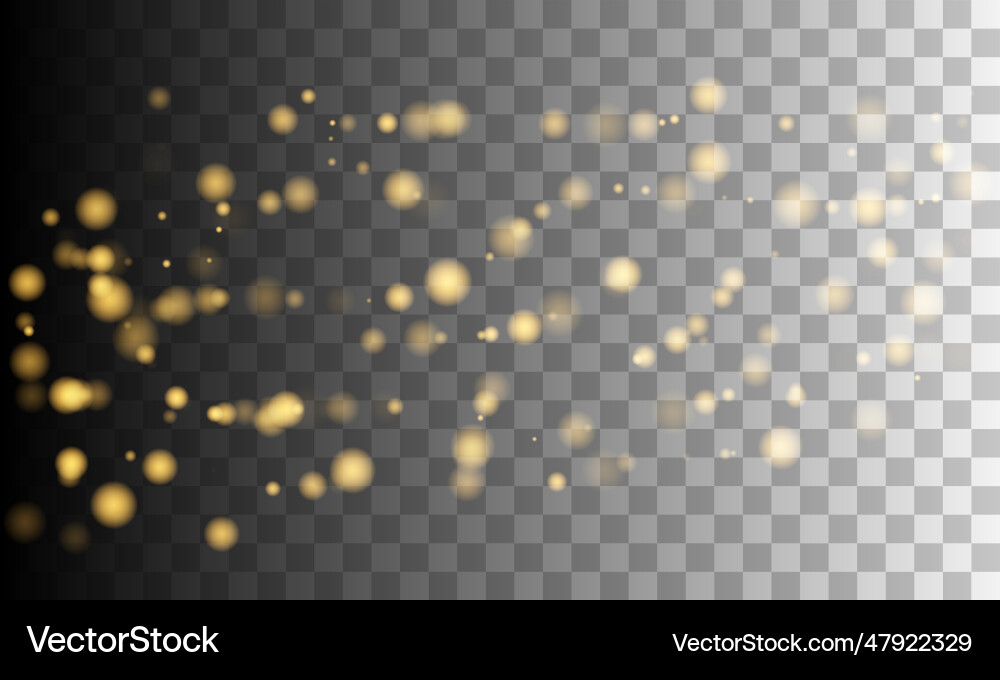 Bokeh sparkles shimmer on transparent background Bokeh sparkles shimmer on transparent background vector image