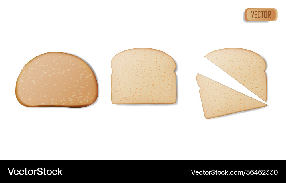 A set slices wheat bread realistic isolated A set slices wheat bread realistic isolated Vector Image