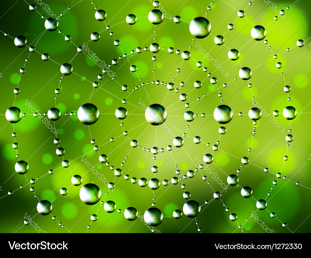 Abstract spider web with dew drops Vector Image