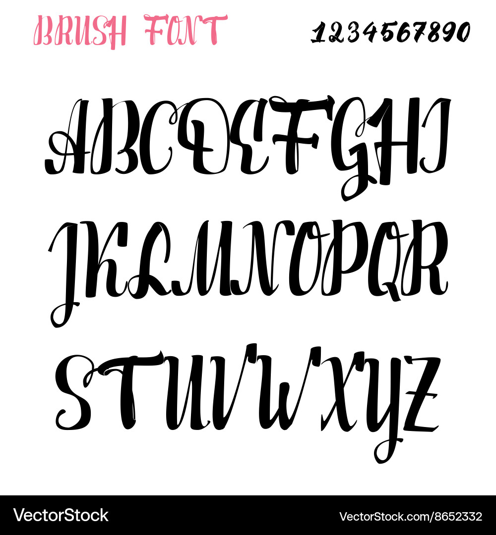 Calligraphic Brush Script Font Vector Image