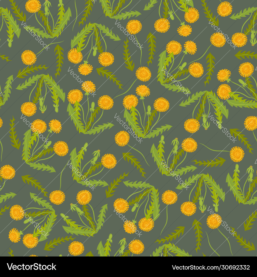 Dandelion seamless pattern botanical print Dandelion seamless pattern botanical print vector image
