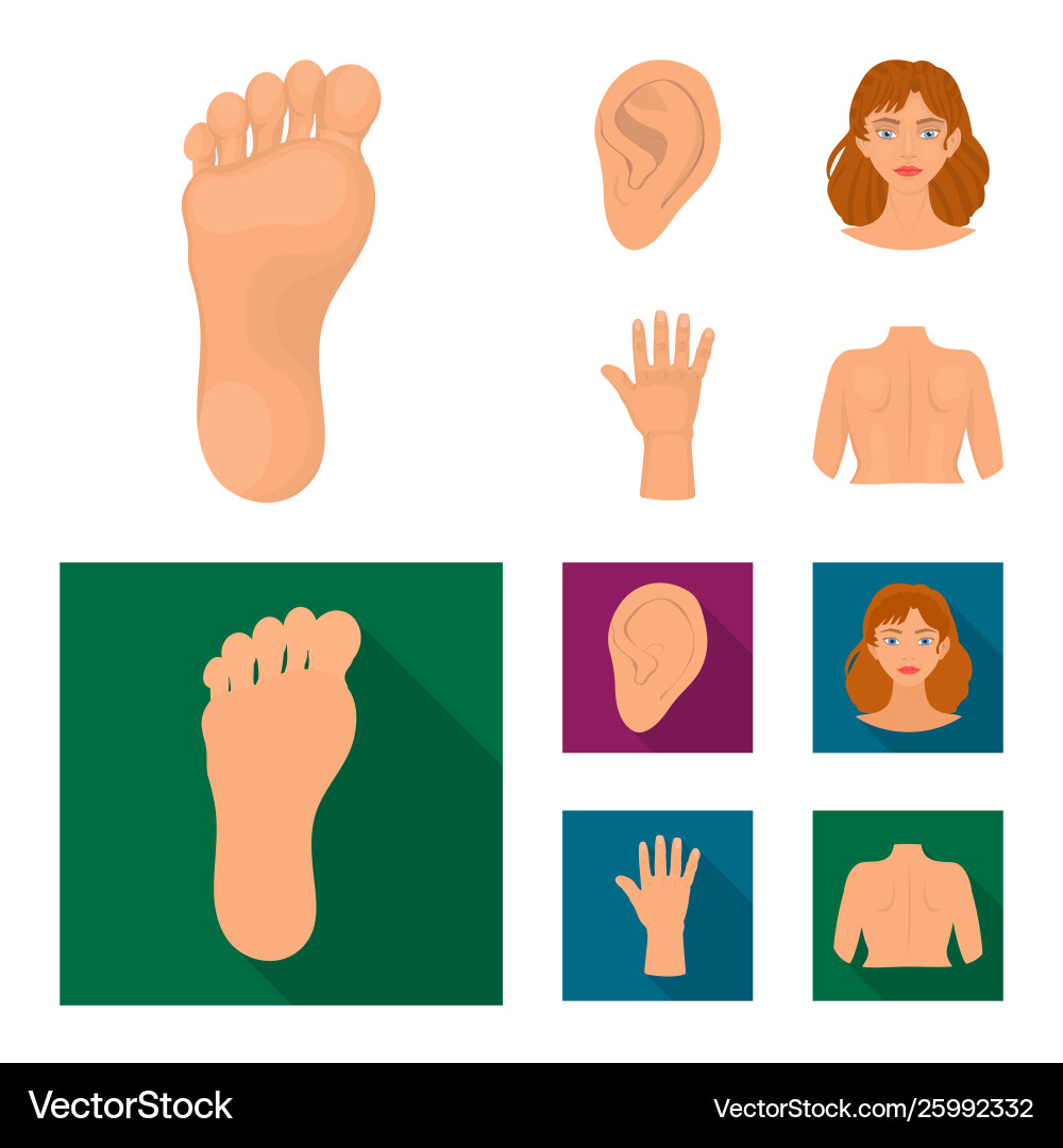 Isolated object body and part symbol set Vector Image