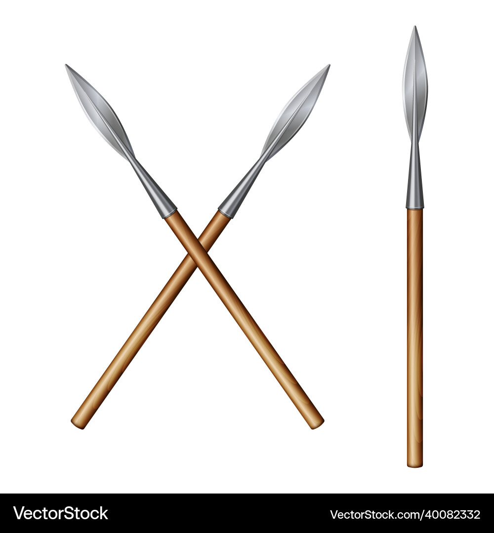 Two Crossed Spears vector image