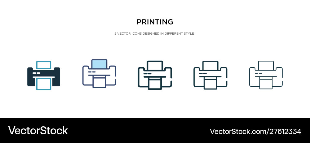 Printing icon in different style two colored vector image