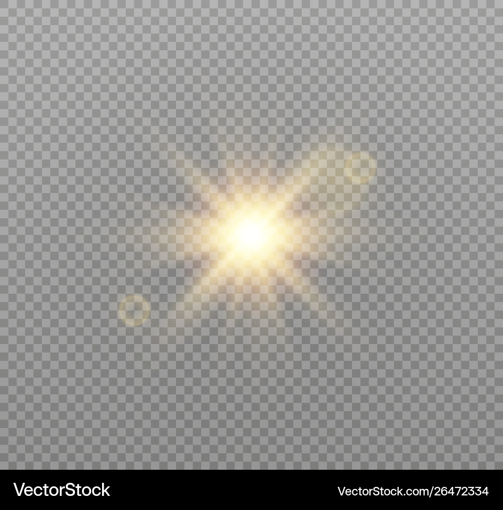 Sunlight a translucent bokeh Vector Image