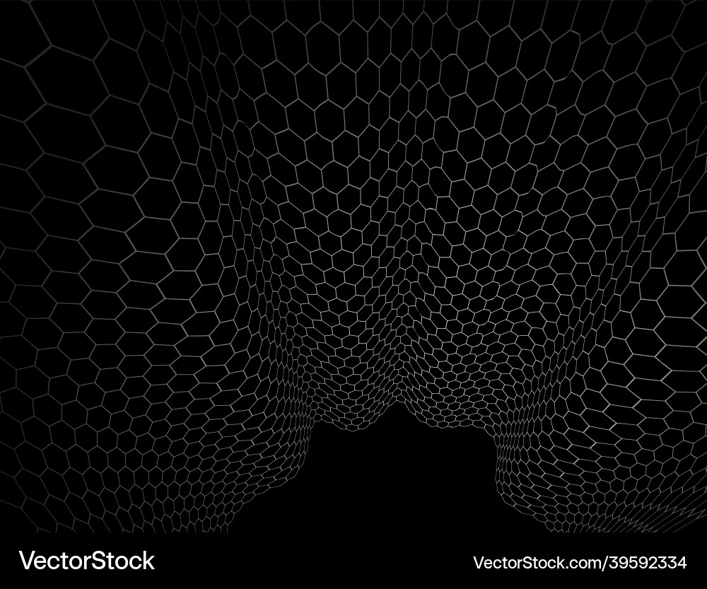 Technology abstract background with hexagons mesh Vector Image