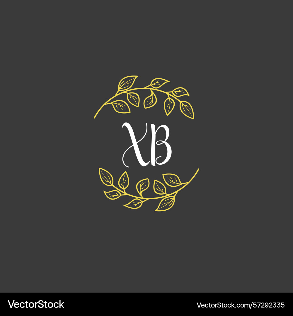 Botanical monogram logos with initial xb Botanical monogram logos with initial xb Vector Image