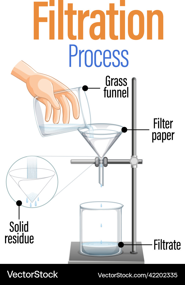Diagram showing filtration process Diagram showing filtration process vector image
