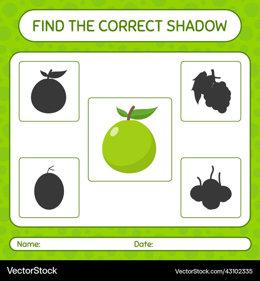 Find the correct shadows game with guava Find the correct shadows game with guava vector image