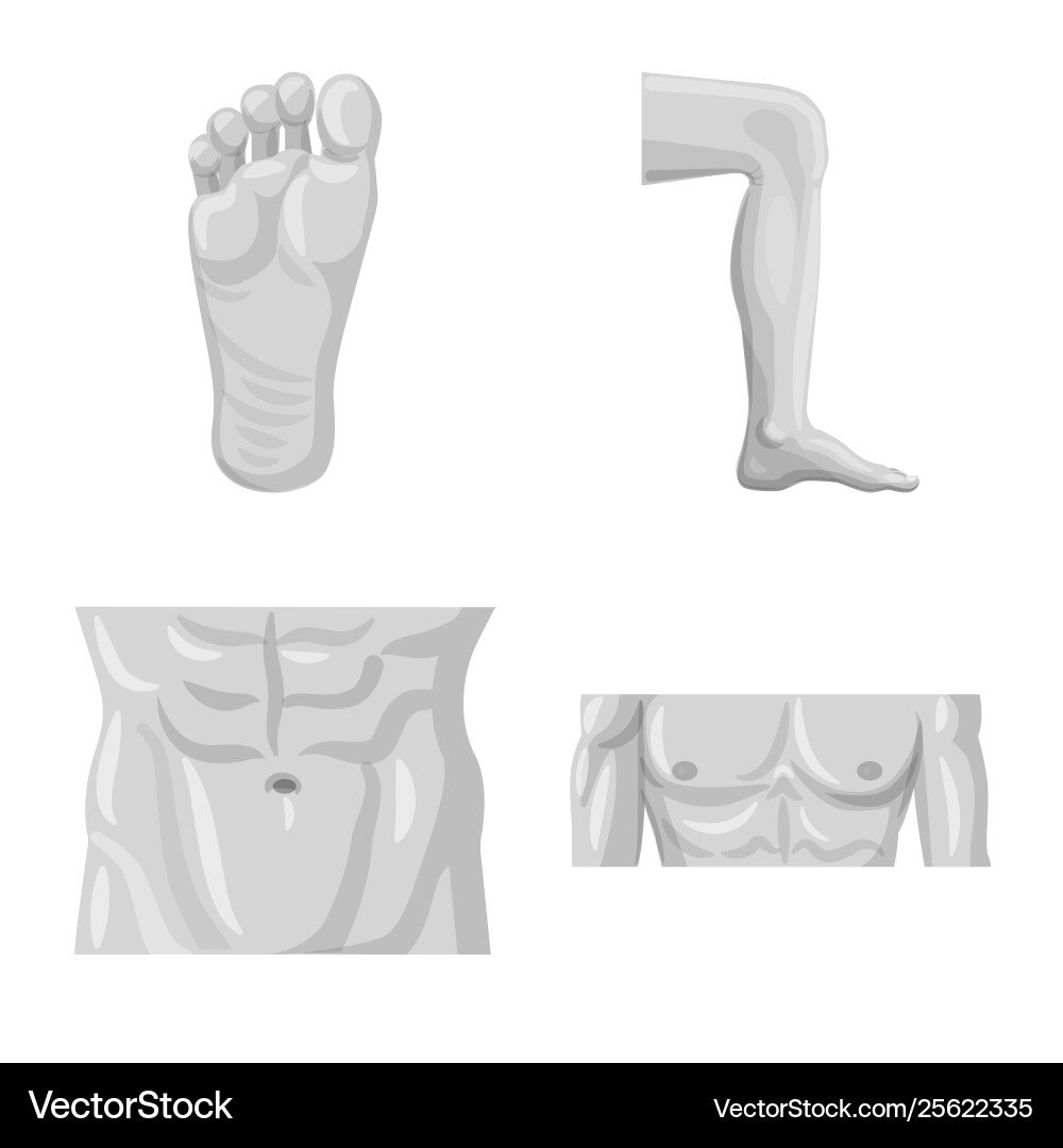 Isolated object human and part logo set Isolated object human and part logo set vector image