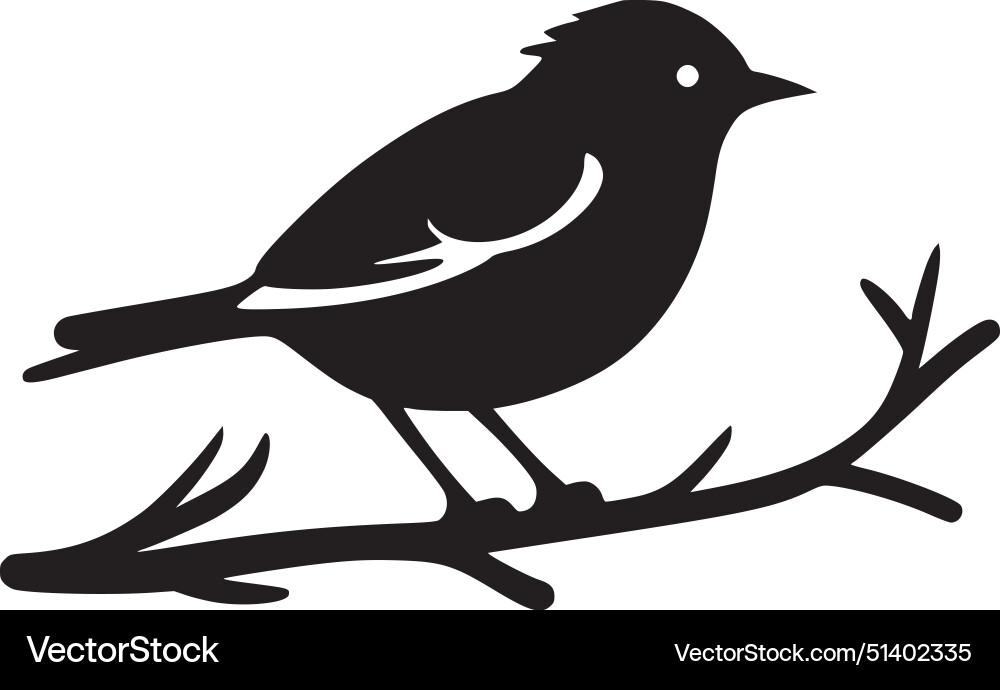 Robin bird - black and white Royalty Free Vector Image