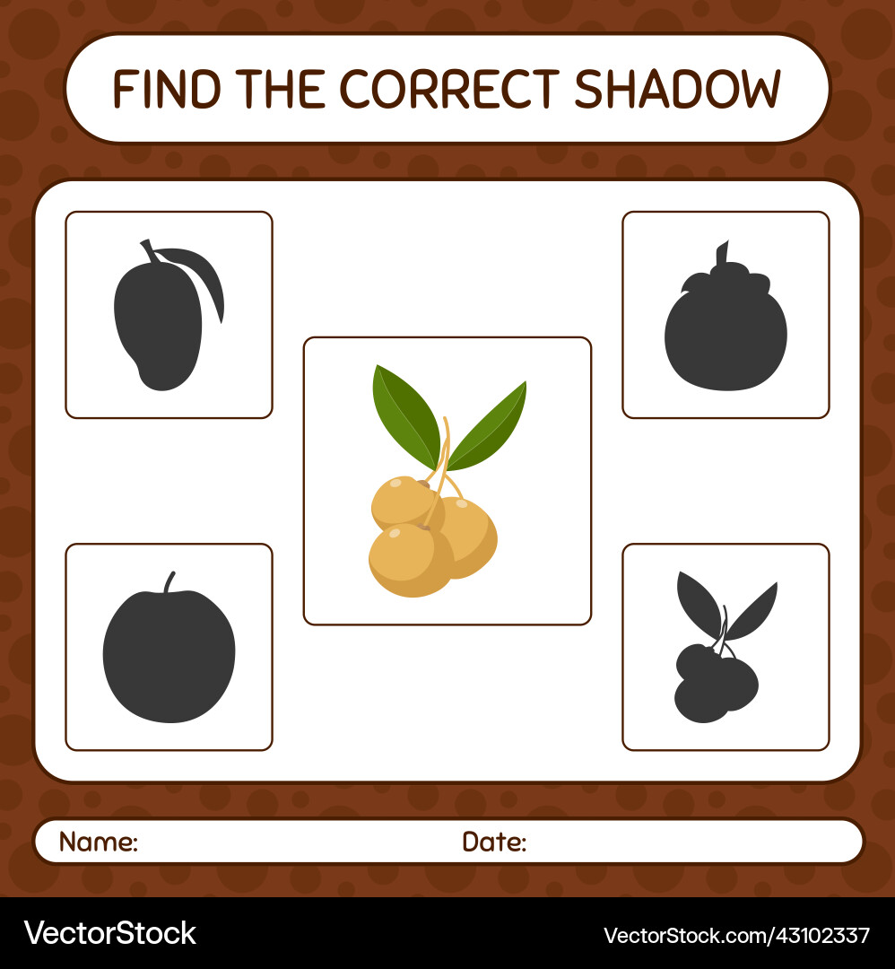 Find the correct shadows game with longan Find the correct shadows game with longan vector image
