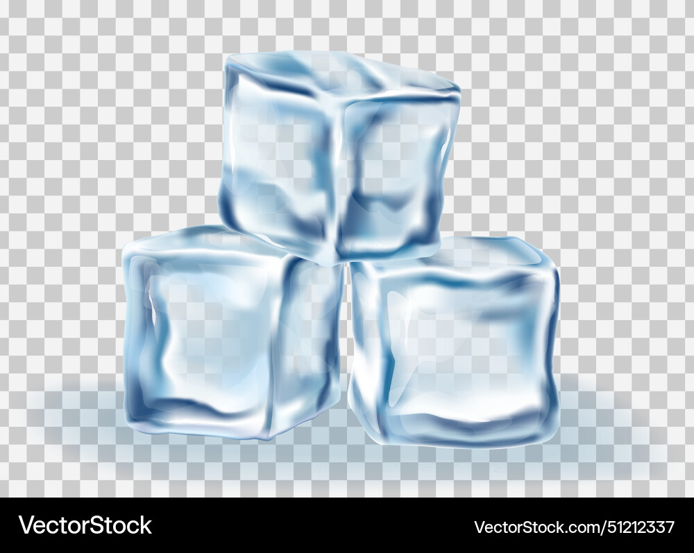 Ice cubes block concept on transparency vector image