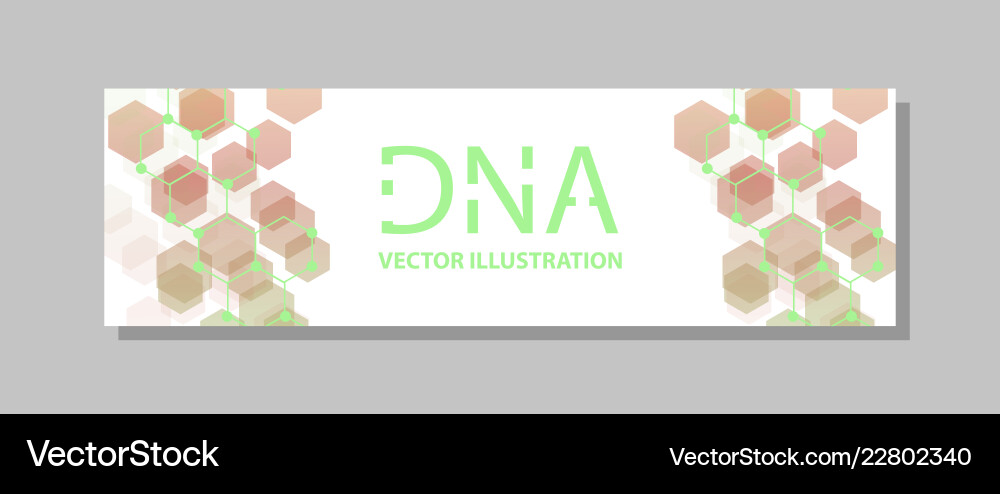 Molecular structure with connected lines and dots Vector Image