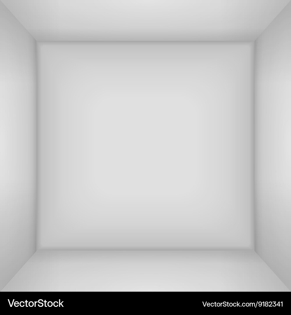 3D White Empty Box Top View vector image