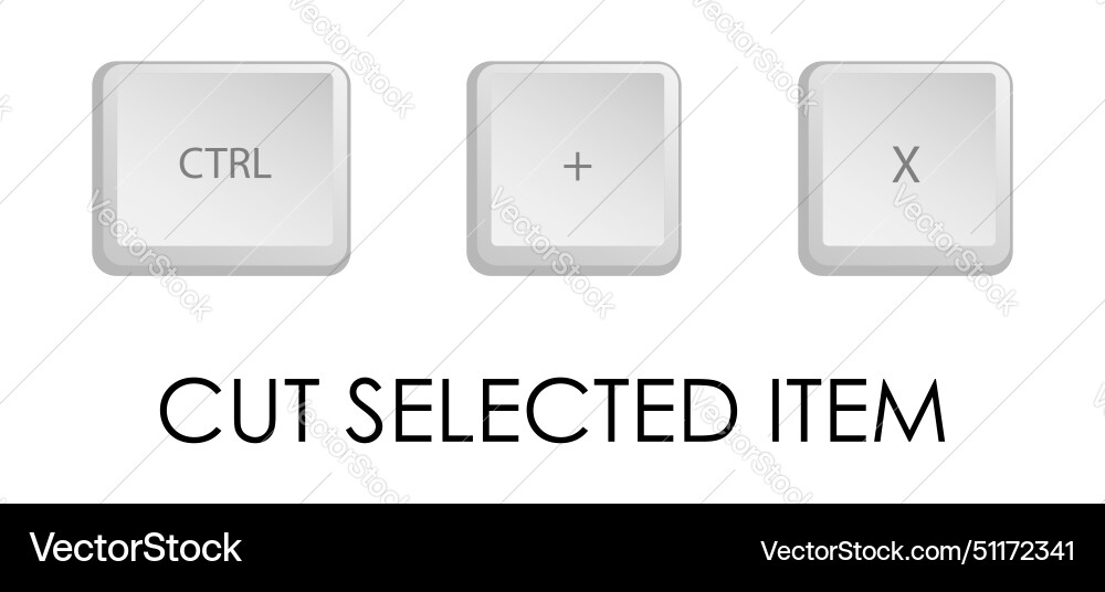 Cut key combination keyboard shortcut for quickly vector image