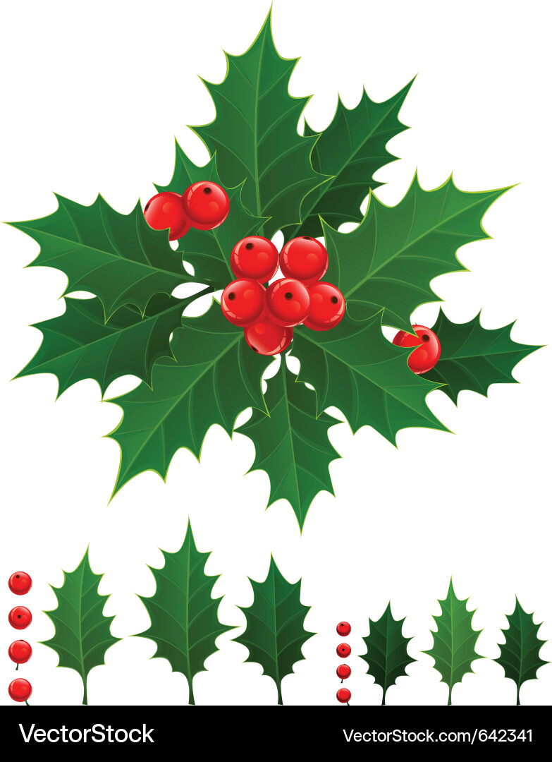 Festive Holly Branch Vector Image