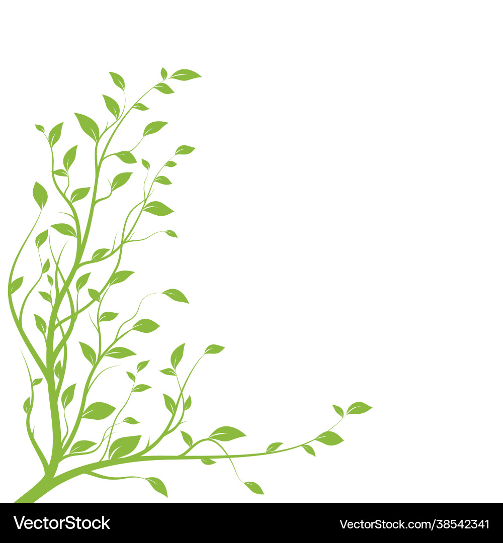 Green Tree Branch Silhouette Vector Image