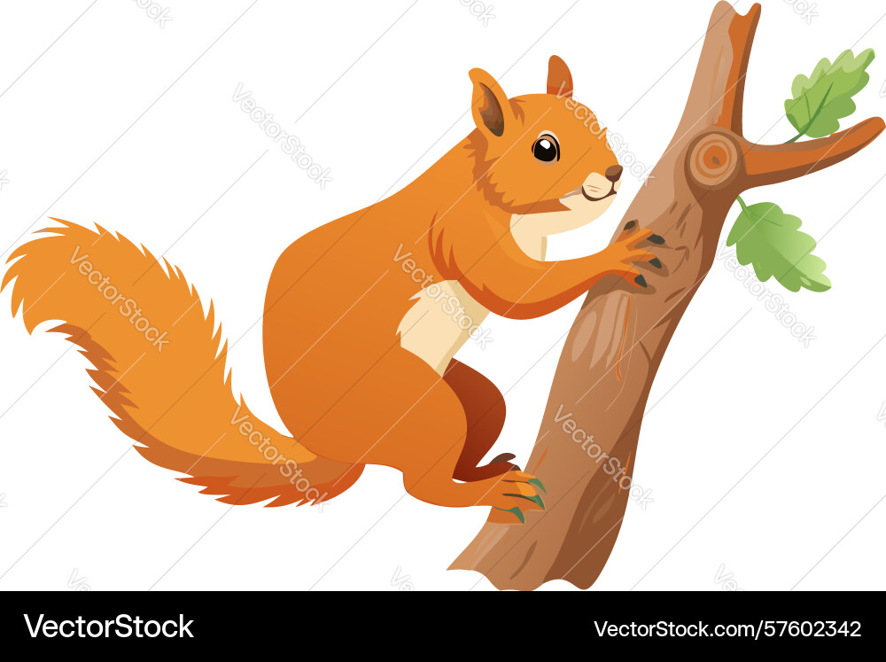 Agile squirrel climbs tree foraging for hidden Vector Image