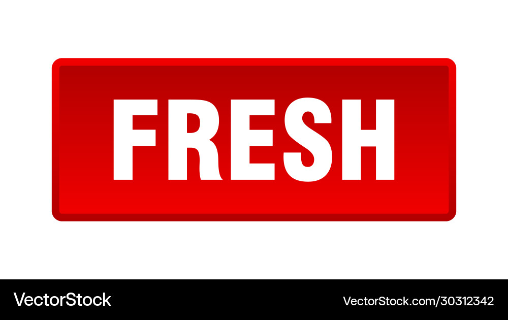 Fresh button square red push vector image