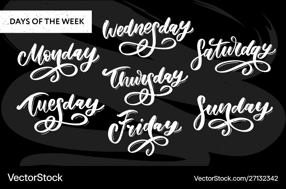 Handwritten week days and symbols set ink font Handwritten week days and symbols set ink font Vector Image