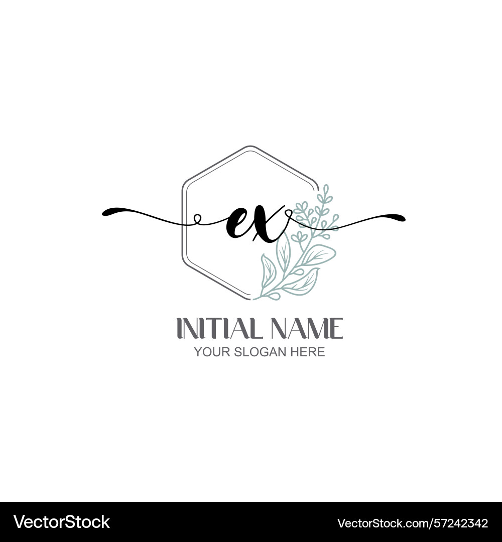 Modern botanical ex initial logo collection Vector Image