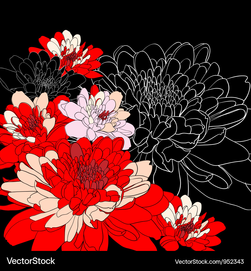 Chrysanthemum Blumen Hintergrund Vektorbild
