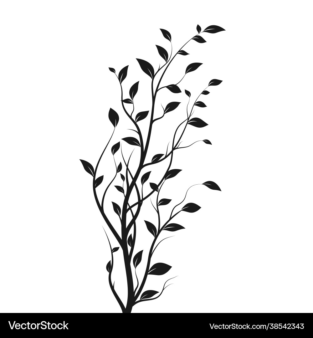 Silhouette tree branch bush isolated Silhouette tree branch bush isolated vector image