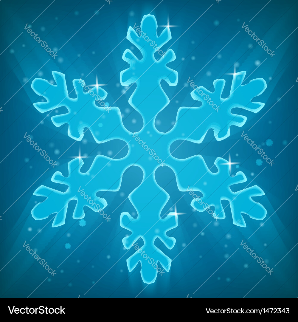 Sparkling Snowflake vector image
