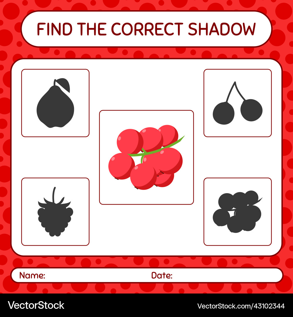 Find the correct shadows game with redberry Find the correct shadows game with redberry vector image