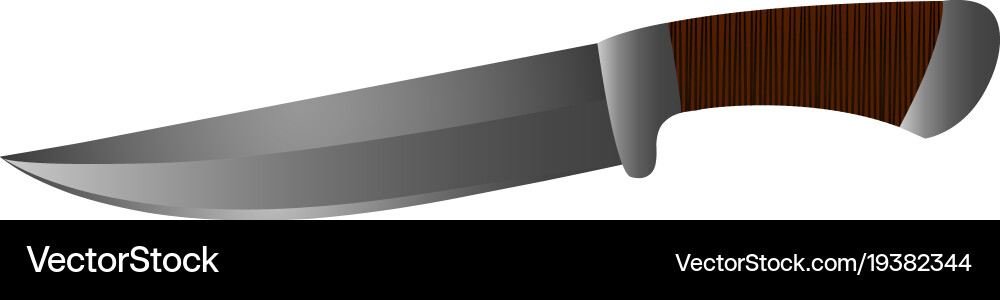 Isolated dagger weapon vector image