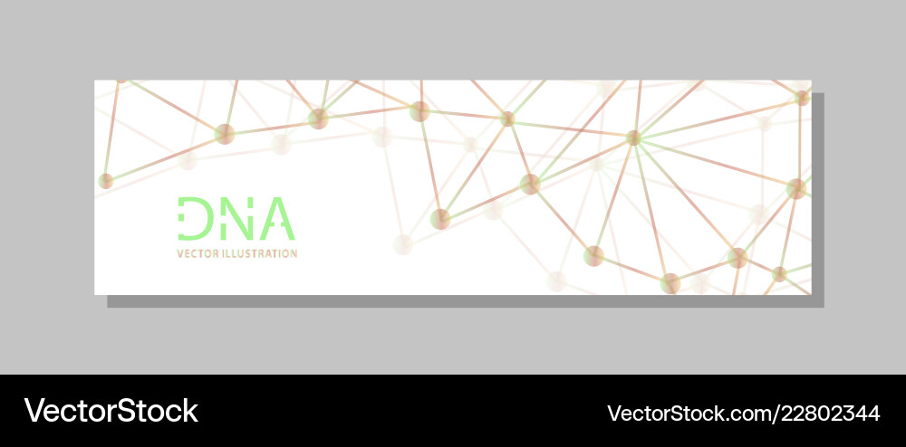 Molecular structure with connected lines and dots vector image