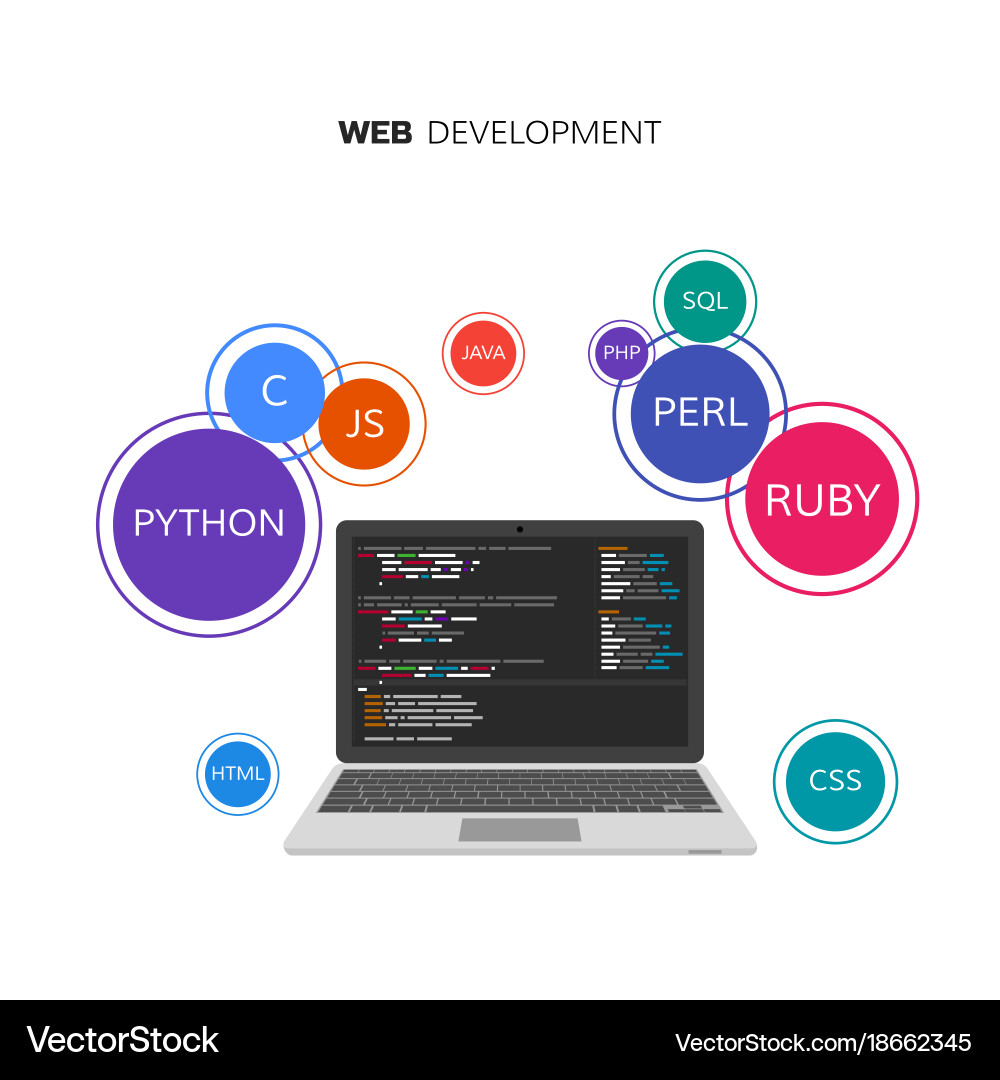 Web Development Programming Concepts vector image