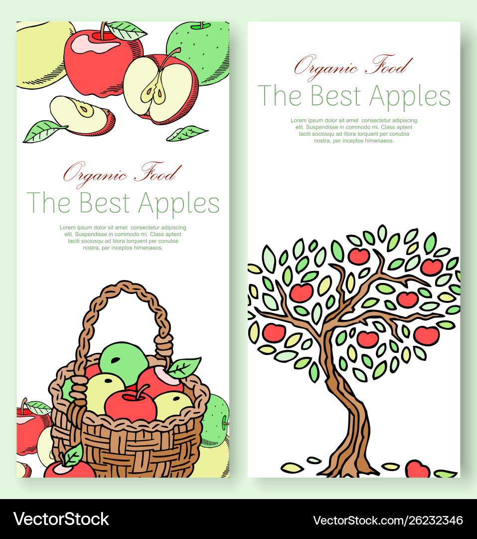 Best apples fruit collection set banners Best apples fruit collection set banners vector image