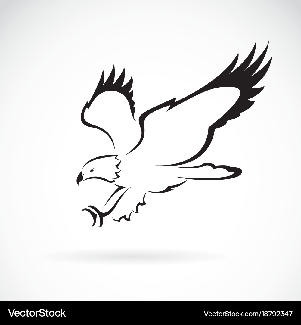 Elegant Eagle Icon - White Background vector image