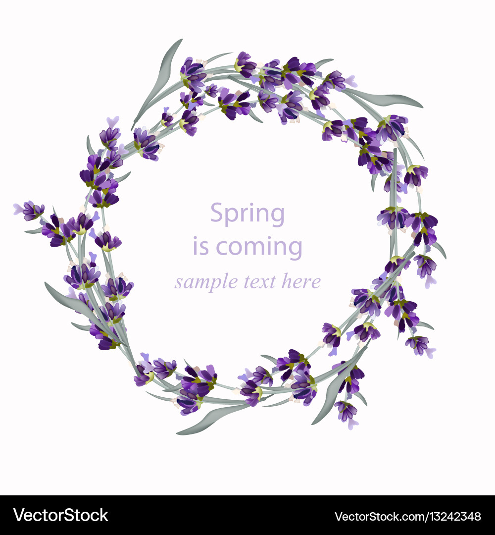Lavender Wreath Blumenrahmen vektorbild