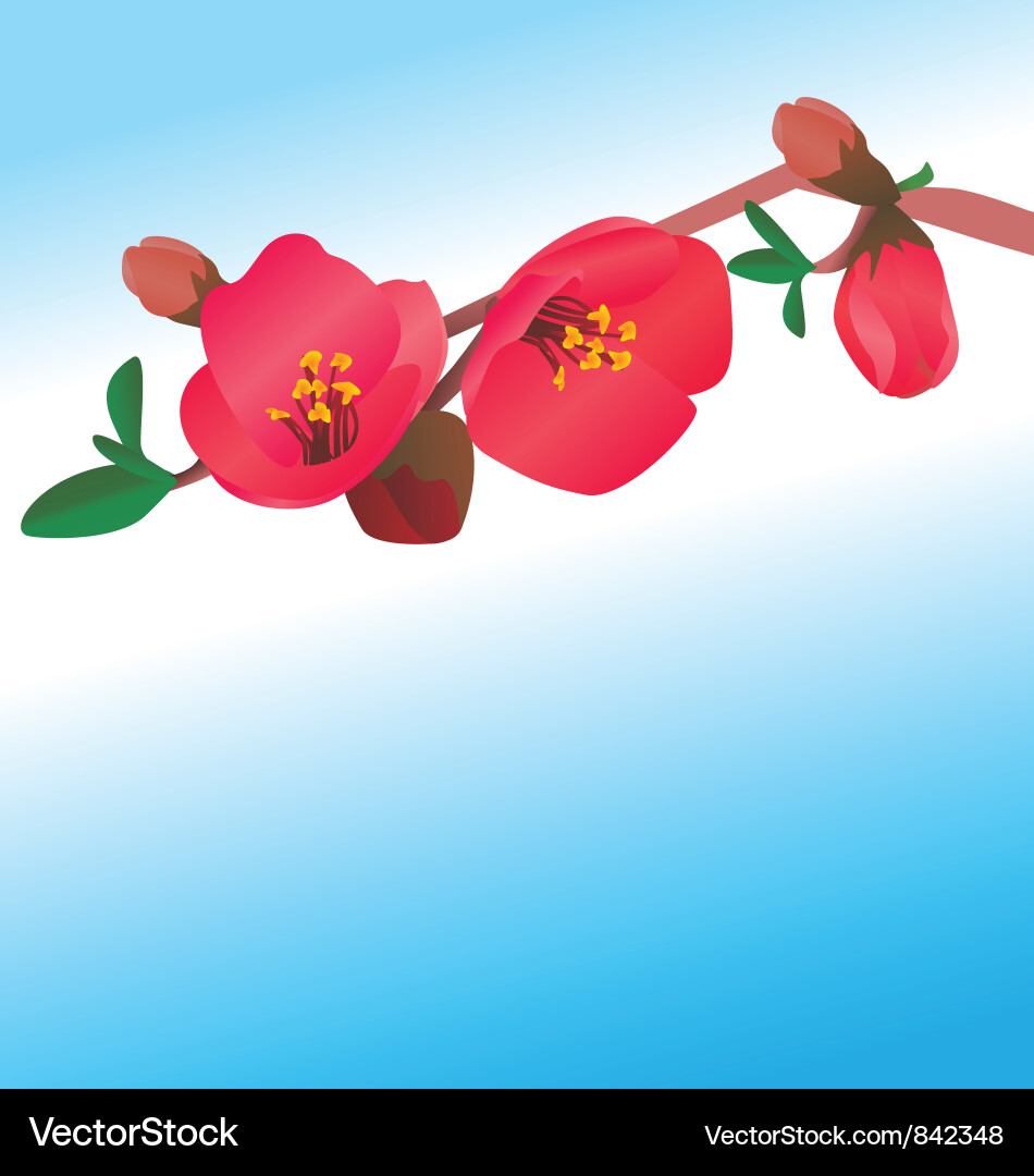 Tree branch Vector Image