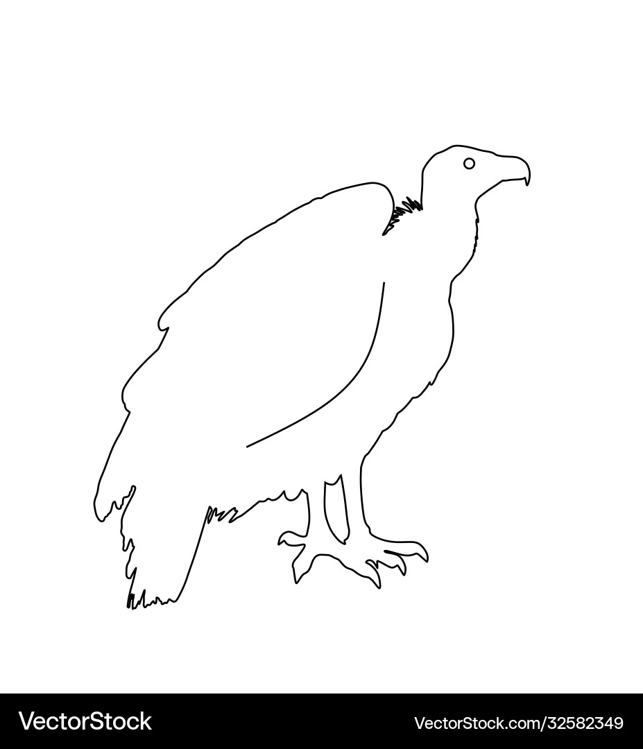 Vulture line contour silhouette isolated Vulture line contour silhouette isolated vector image