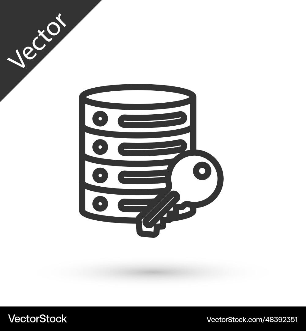 Grey line server security with key icon isolated Grey line server security with key icon isolated vector image