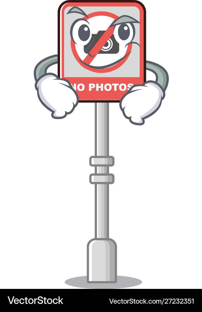 Smirking no camera with character shape Smirking no camera with character shape Vector Image
