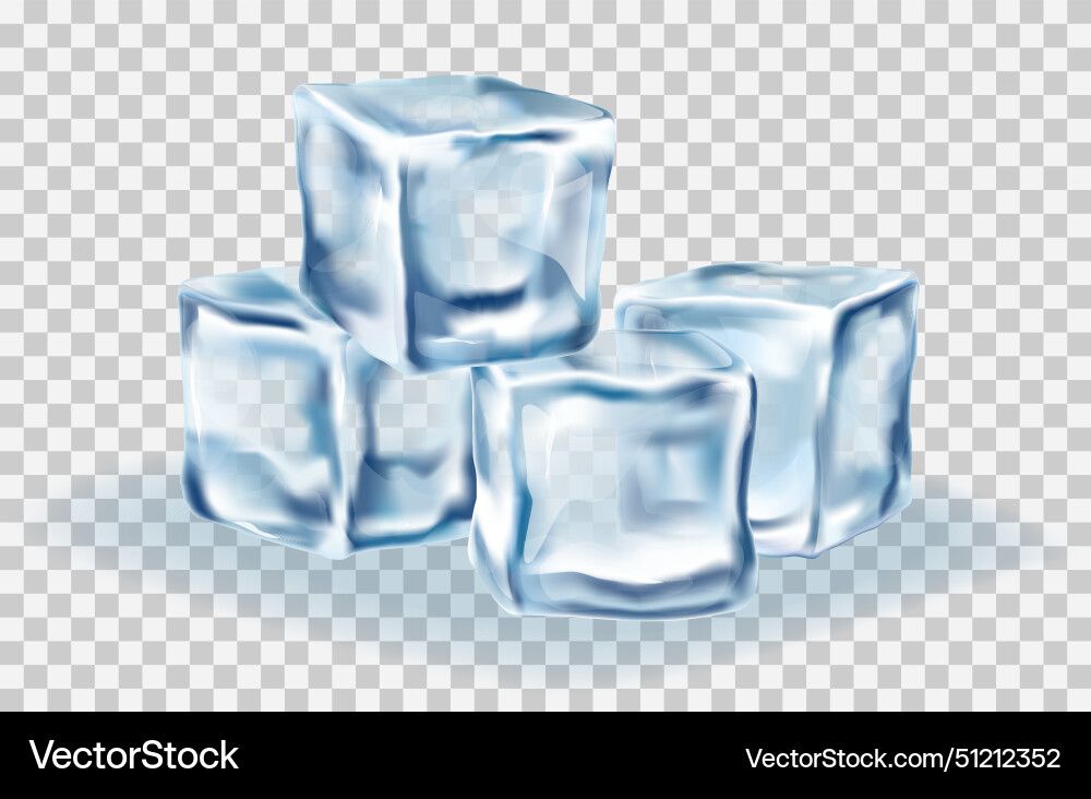 Ice cubes block concept on transparency vector image