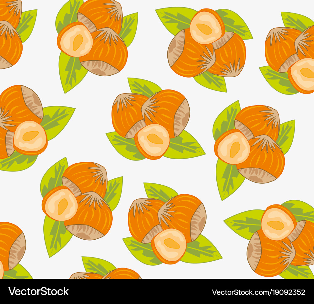 Nut hazelnut pattern Vector Image