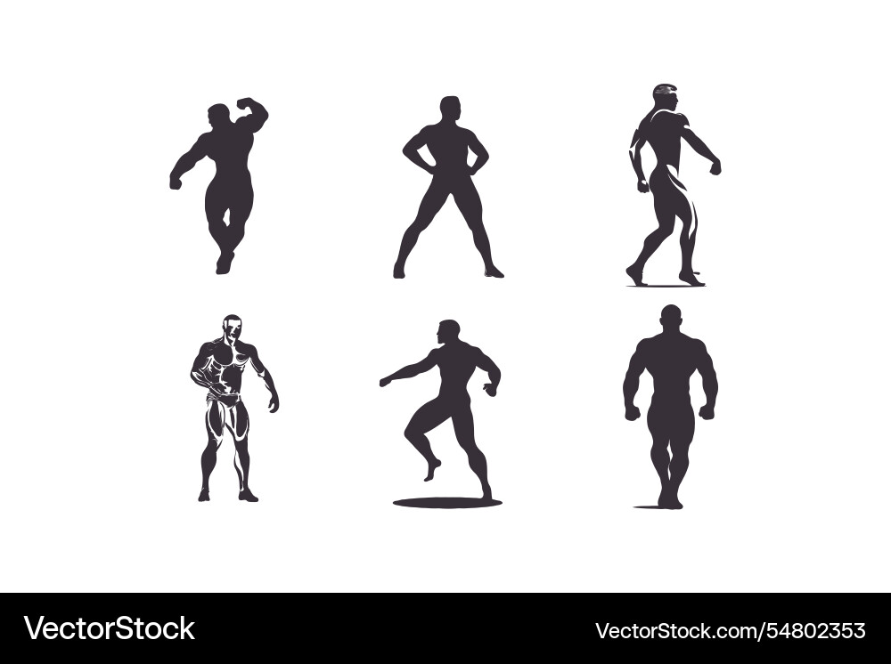 A collection of characters from basketball Vector Image