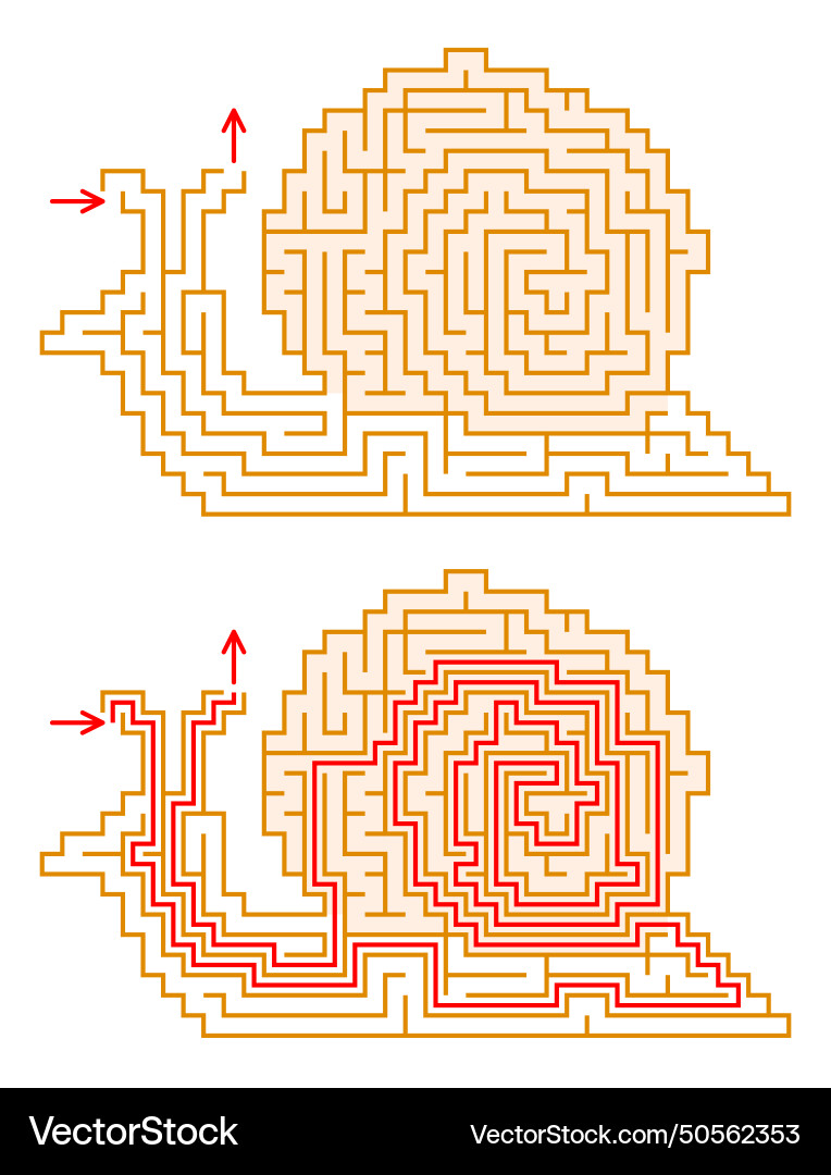 Maze in a shape of snail find the way through vector image