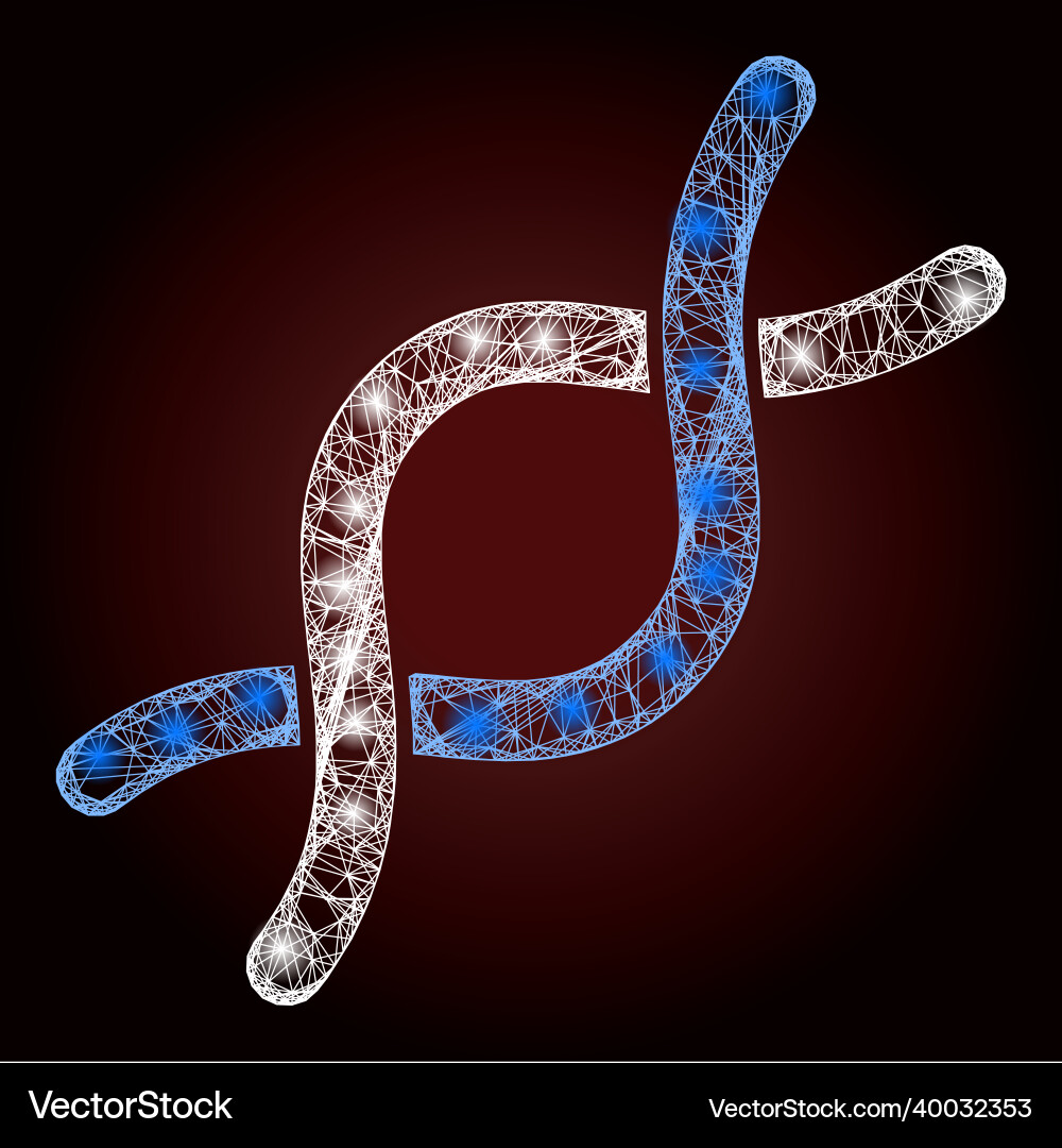 Shiny net mesh dna helix with light spots Vector Image
