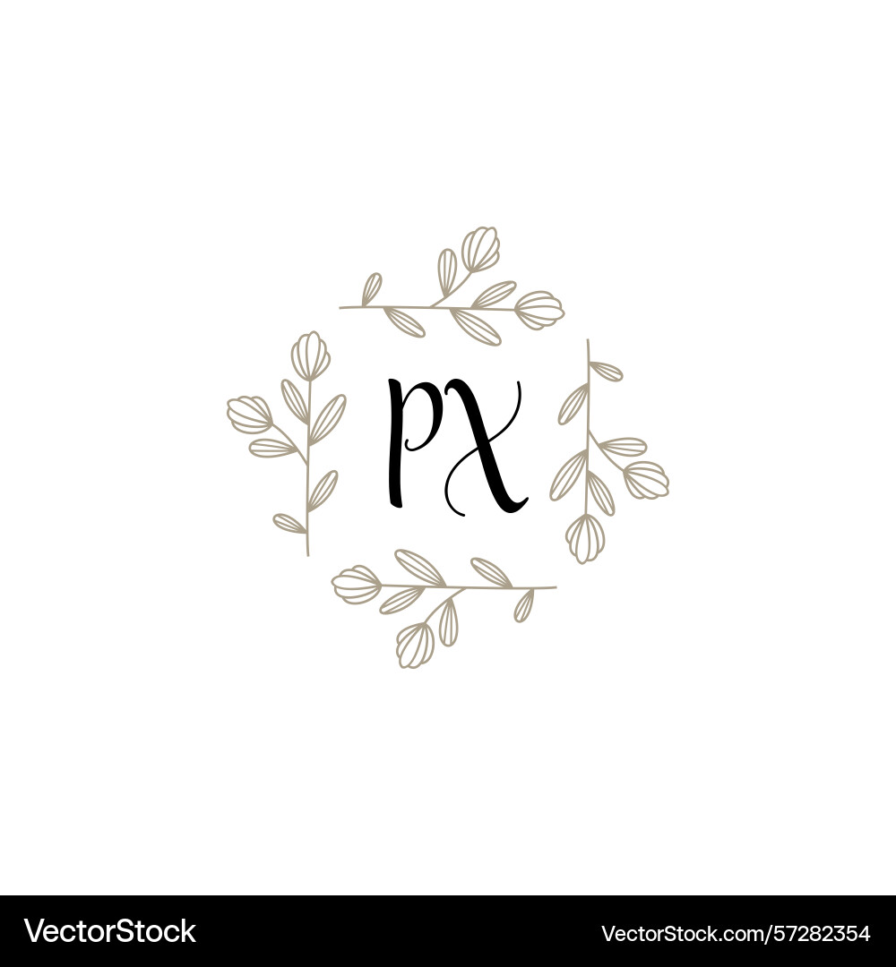 Botanical monogram logos with initial px Botanical monogram logos with initial px Vector Image