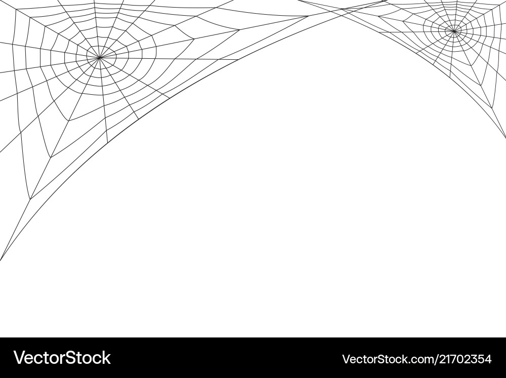 Concentric white web on a background Concentric white web on a background Vector Image