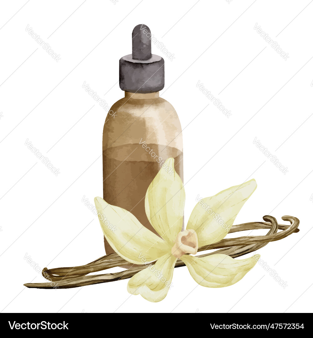 Vanille ätherische Öl Hand gezogen Wasserfarbe Vanille ätherische Öl Hand gezogen Wasserfarbe vektorbild